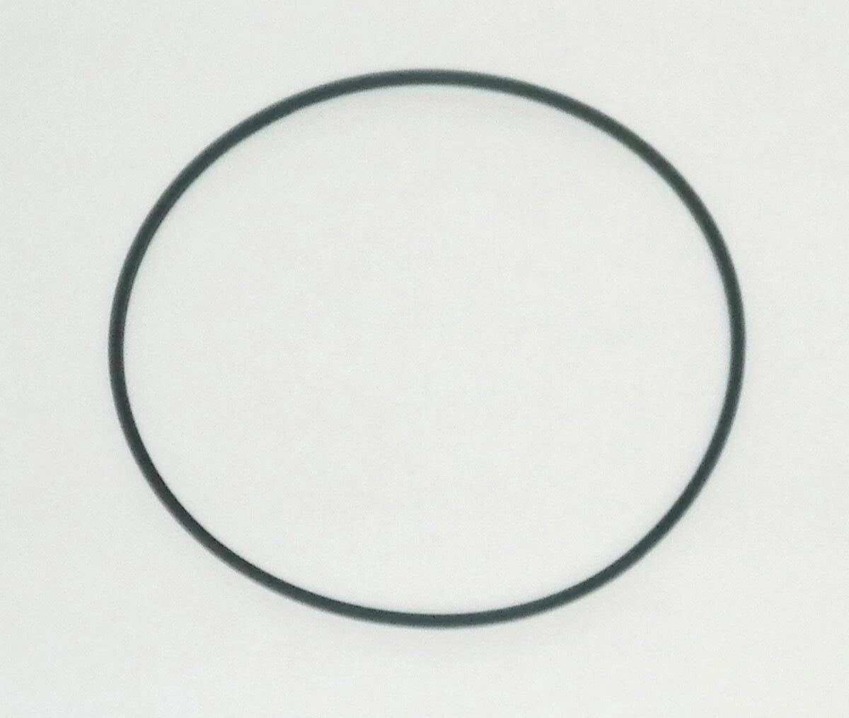 WSM O-Ring for