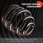 2X Front Coil Springs for Nissan Sentra (2013-2019)