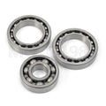 Rear Differential Bearings Seals Kit for Honda TRX300 (1990-2000)