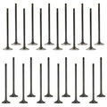 Set of 24 Intake & Exhaust Valves for Audi A3 Quattro, Q7, Passat, Touareg V6