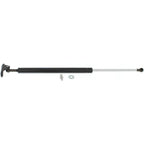 Liftgate Lift Supports Set of 2 for 4Runner