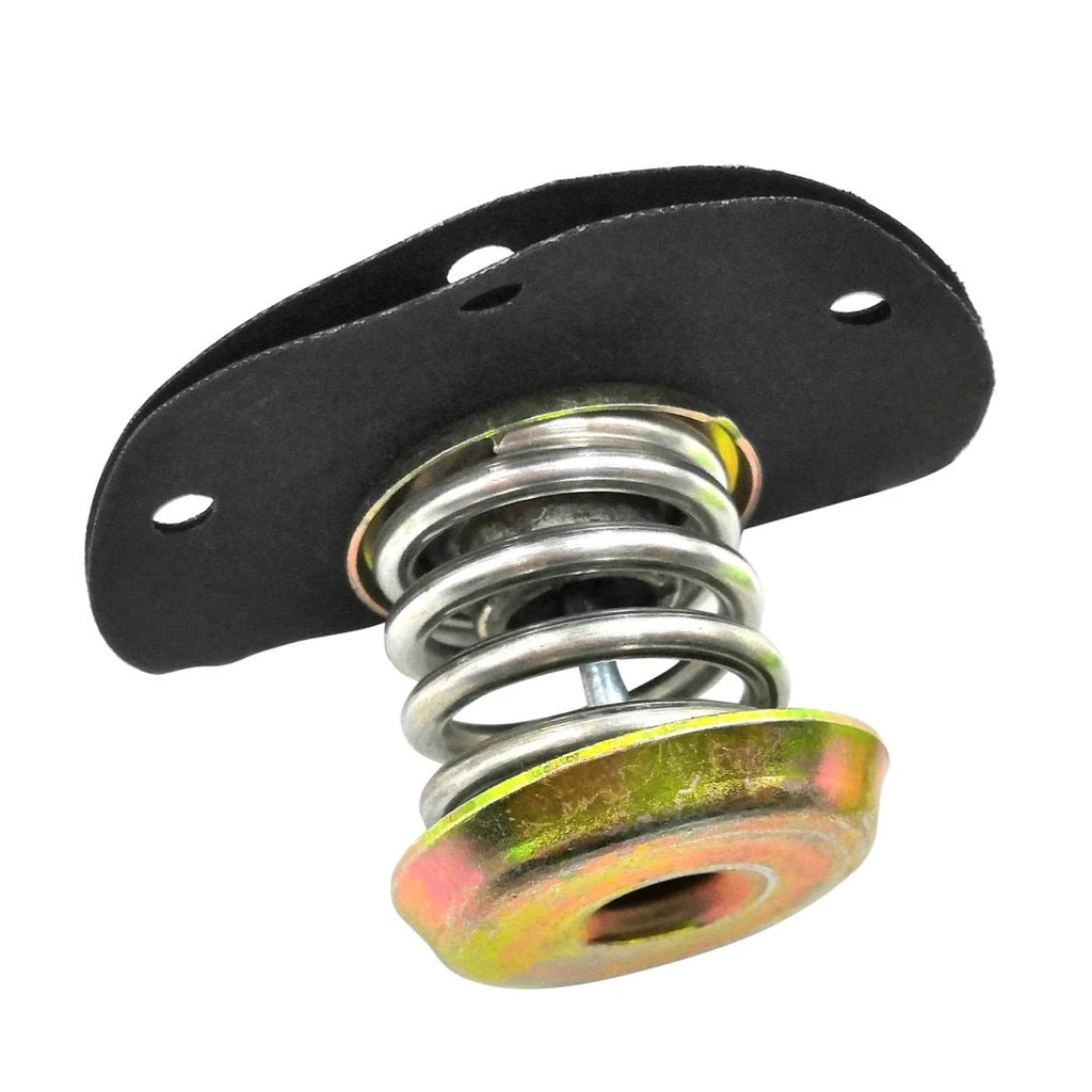 Fuel Injection Pressure Regulator for Camaro Firebird Skylark Cimarron (1982–1992)