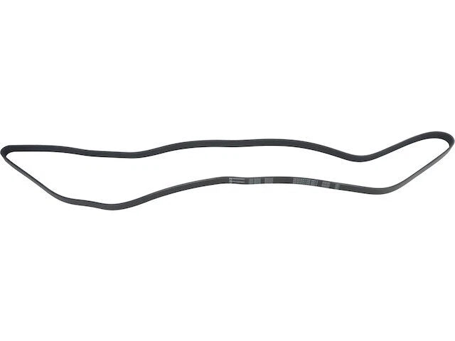 Main Drive Multi Rib Belt for Mazda Tribute (2008) ZB894CD