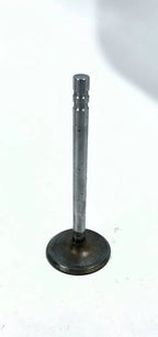 Intake Valve for GM (14025571)