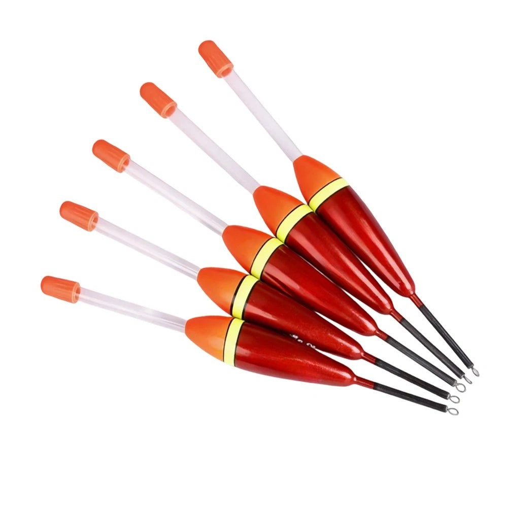 5pcs Vertical Buoy for Carp Fishing (4g, 5g, 6g)