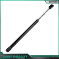 2 Hood Window Tailgate Lift Supports Struts for Ford Expedition (2003–2006)
