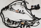 Engine Fuel Wire Harness for Jaguar XJR 1998 (4.0L V8 SC)