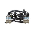 Set of 8 Platinum Spark Plugs & Wires for Ford Mustang GT (1996–1998)