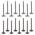 Set of 16 Intake & Exhaust Valves for Canyon Colorado i-280 L4 DOHC