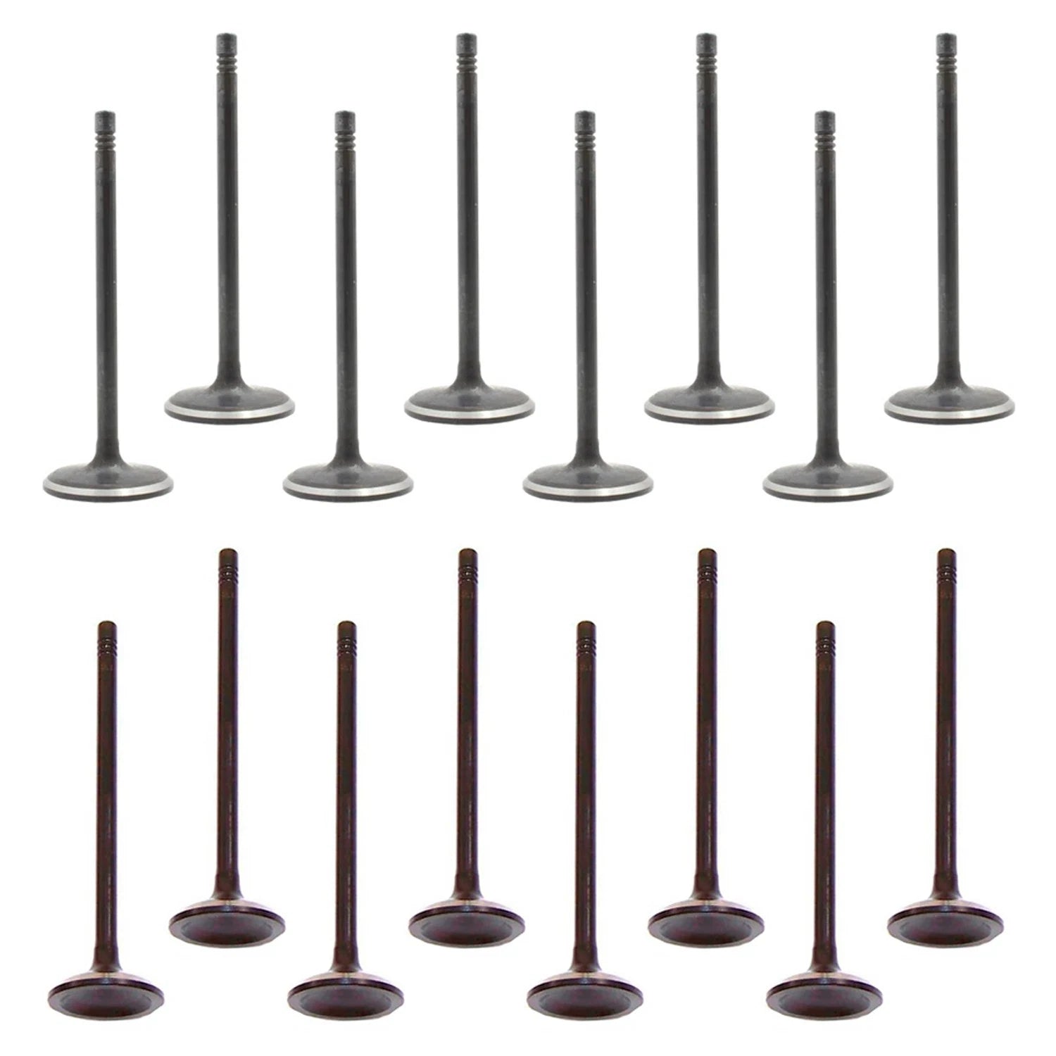Set of 16 Intake & Exhaust Valves for Canyon Colorado i-280 L4 DOHC