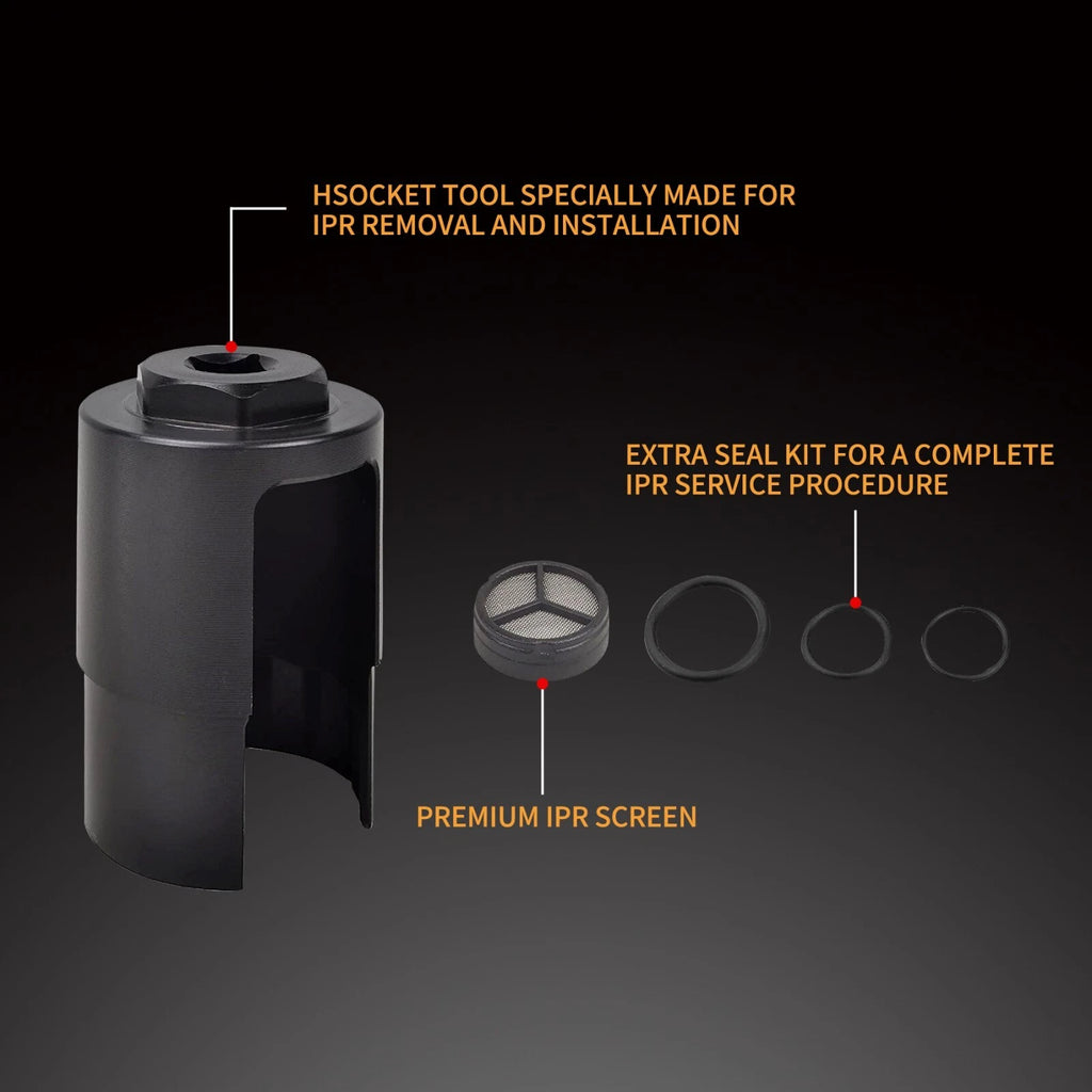 IPR Valve with Socket & Screen Seal Kit for Ford F250 F350 (2003-2007)