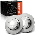 Rear Side Disc Brake Rotor for BMW X5 (2002–2003, 2005–2006)