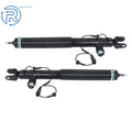 2X Rear Shock Absorbers for Lincoln MKS (2013–2016)