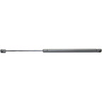 Set of 2 Lift Supports for Mini Cooper (2002–2008)