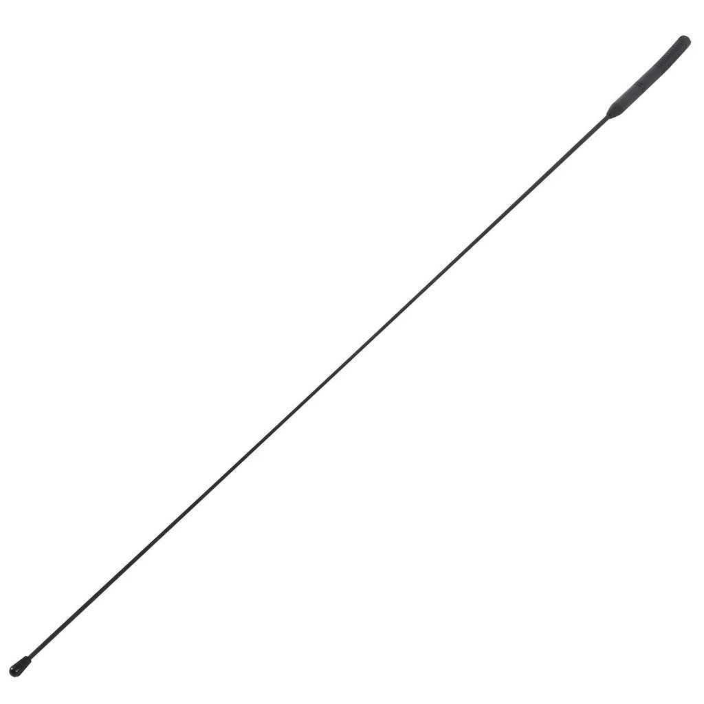 AM FM Antenna for Harley-Davidson Electra Glide, Street Glide, Road King (1998–2022)