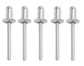 Set of 5 Window Regulator Rivets 4.8mm X 8mm for Mercedes Benz