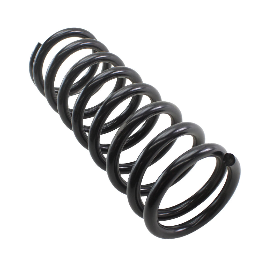 Rear Coil Spring for Mercedes-Benz (4256806)