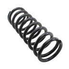 Rear Coil Spring for Mercedes-Benz (4256806)