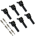 6X Ignition Coil & Spark Plug for Trailblazer (2006–2009)