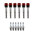 Set of 6 Ignition Coils & Spark Plugs for Audi S5 3.0 V6 (2011)