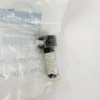 Polaris Screw OEM 7517358 for Polaris Models