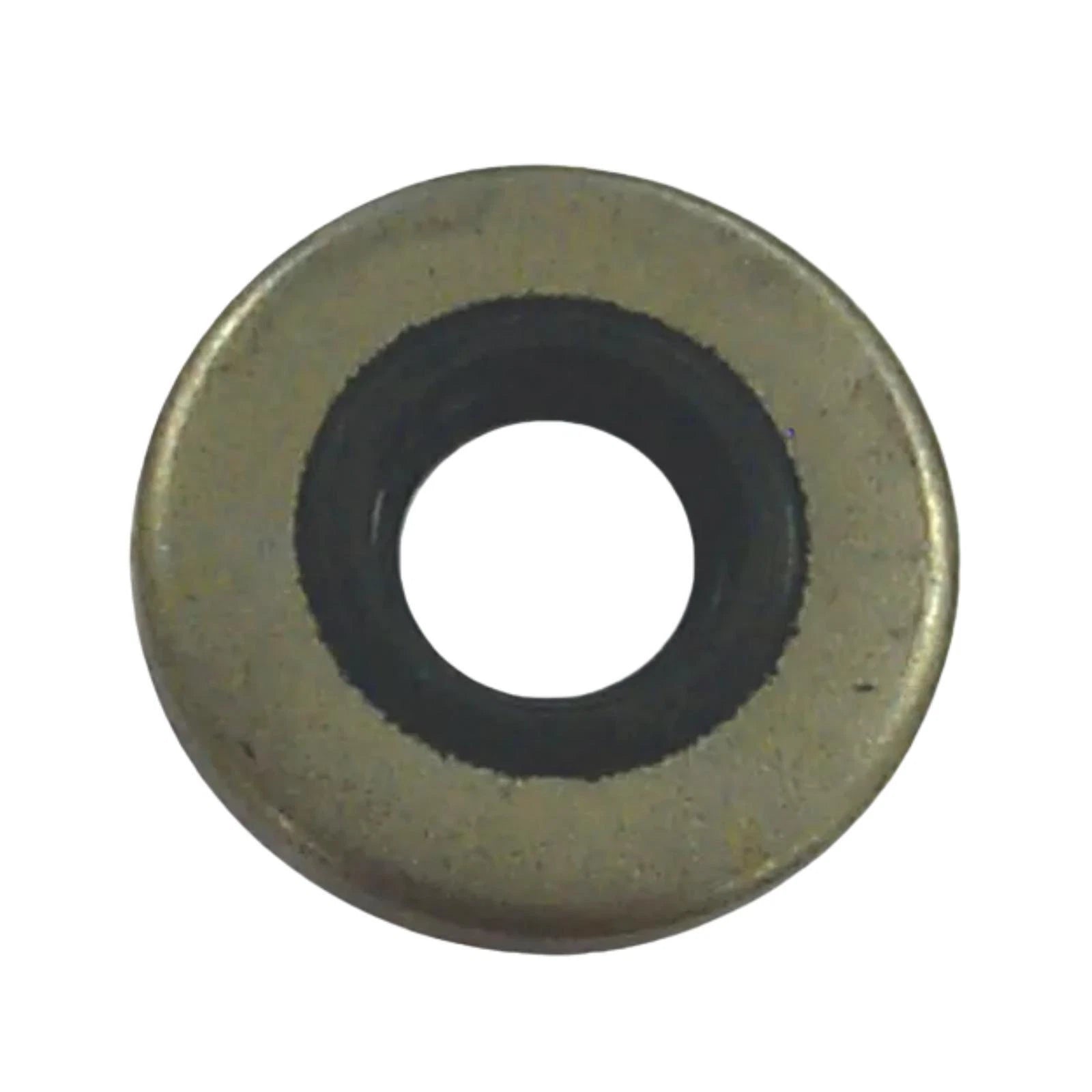 2X Oil Seal for Sierra 18-2028 (GLM 86170, OMC 318973, 321480, Mallory 9-76207)