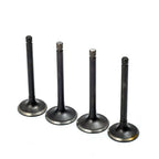 Intake Exhaust Valves & Valve Stem Seals for Ezgo 4 Stroke Gas (1996–Present)
