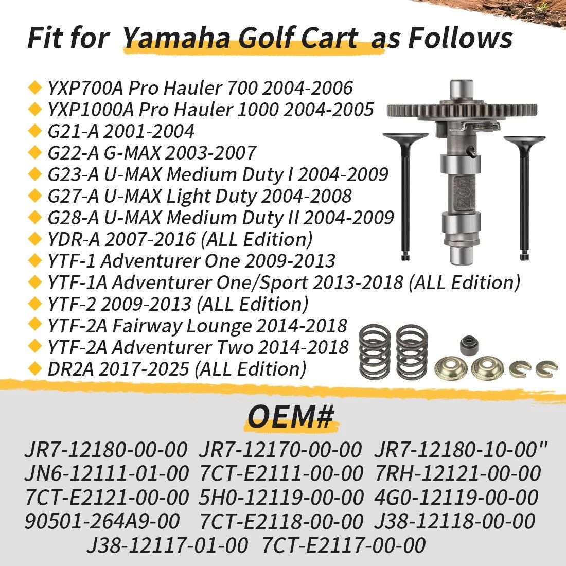 Camshaft Valves with Springs Seal Kit for Yamaha G21 G22 G23 G27 G28 (Gas)