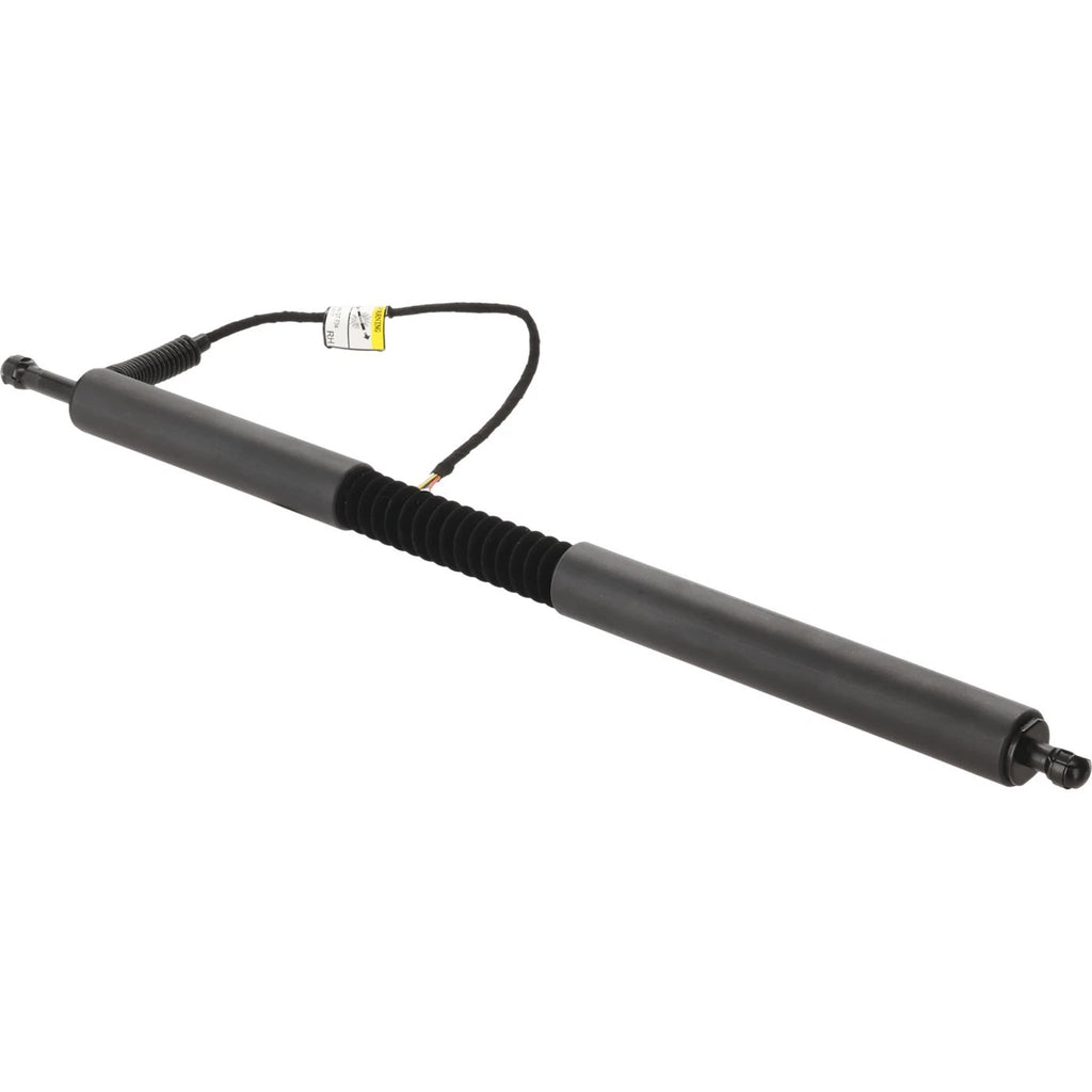 Set of 2 Liftgate Lift Supports for BMW