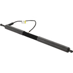 Set of 2 Liftgate Lift Supports for BMW