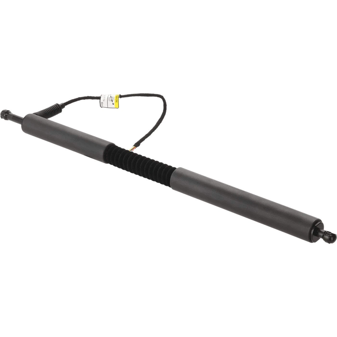 Set of 2 Liftgate Lift Supports for BMW