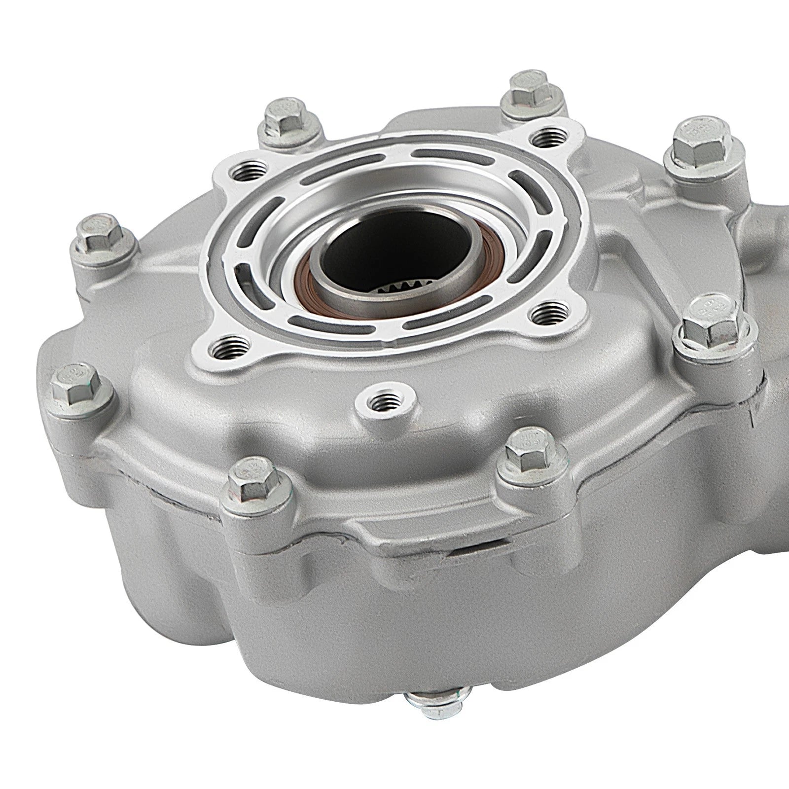 Complete Rear Differential for Honda TRX300 (1988-2000)
