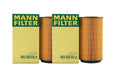 Set of 2 Engine Oil Filters for Audi A8 Quattro (2004–2017)