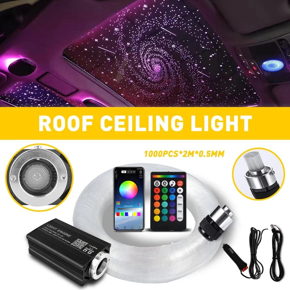 1000X Fiber Optic Star Roof Twinkle Lights for Home Car Ceiling
