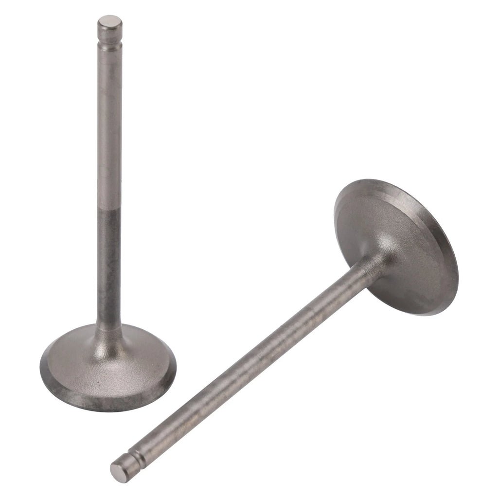 Intake & Exhaust Valves for Yamaha F200 F225 F250 (2000–2019)