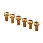 6pcs M6x25mm Titanium Torx Head Flange Bolts for Bike Motorcycle
