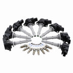 Set of 8 Ignition Coils & 8 Platinum Spark Plugs for Mercedes C216 W211