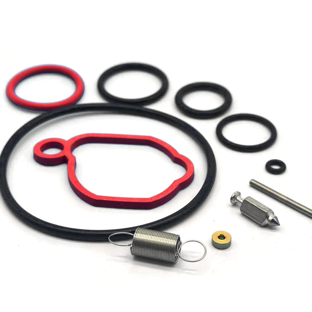Replacement Carburetor Kit for B&Stratton Lawn Mower (590589, 08P502, 093J02)