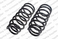 Rear Coil Spring Kit for Kia (4444201)