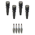 Set of 4 Ignition Coils & NGK Platinum Spark Plugs for Ford Escape Focus Mariner