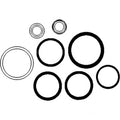 Hydraulic Cylinder Kit for Ford/New Holland
