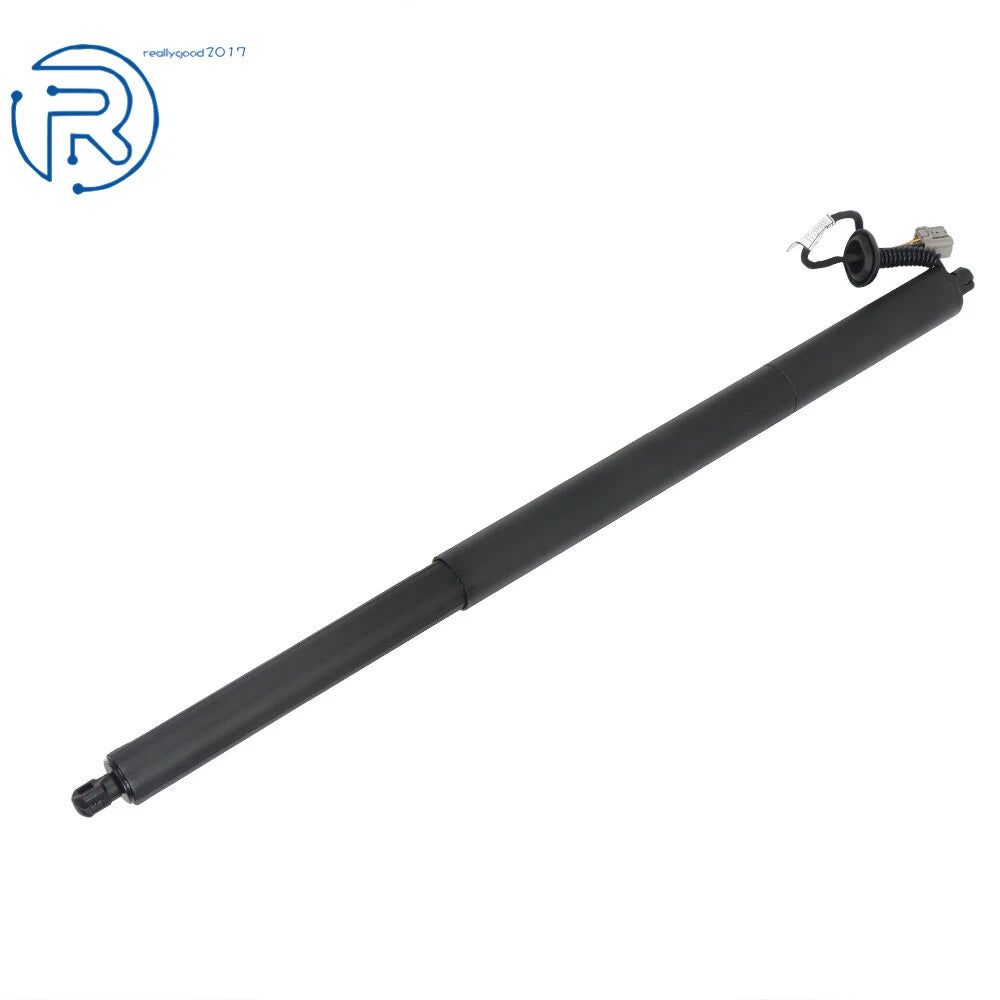 Rear Tailgate Left Power Lift Support for Ford Escape (2013–2019)