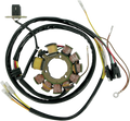 Stator for Rick's Motorsport Electric (21-555)