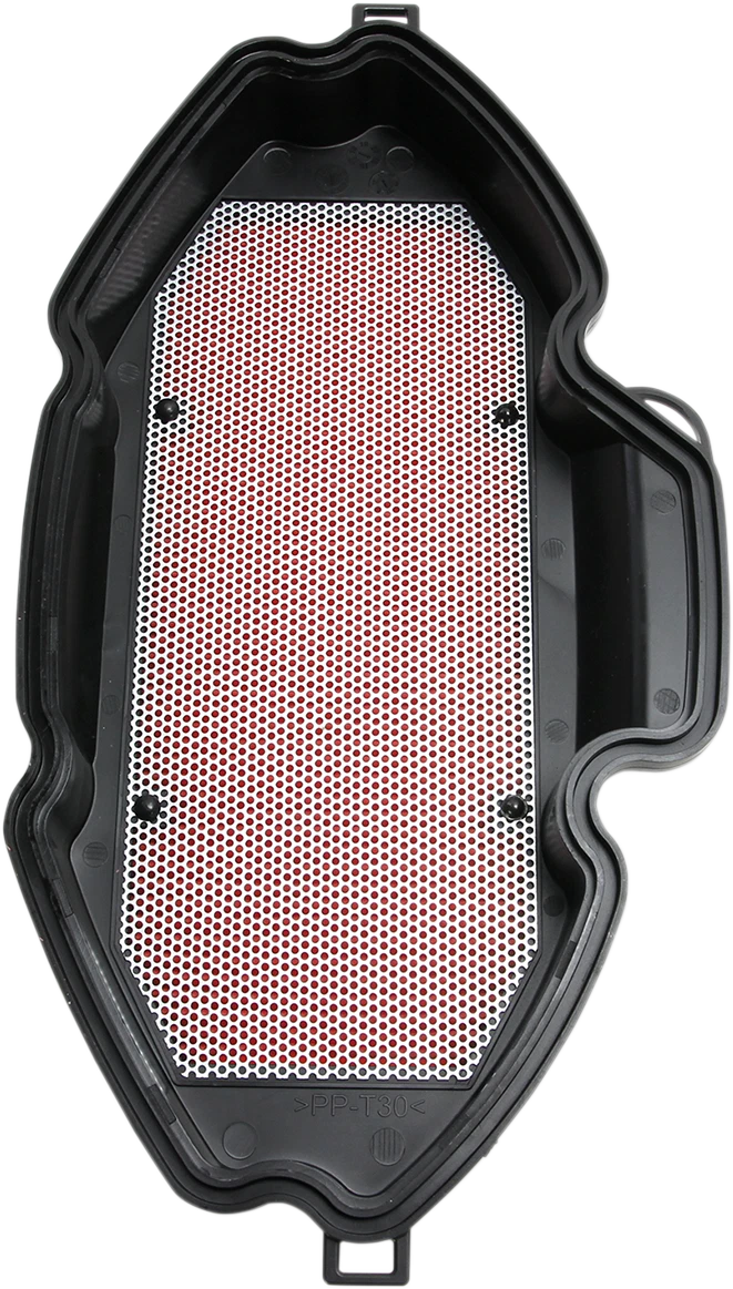 HIFLOFILTRO Air Filter for Honda Scooter (HFA1715)