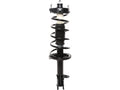 Rear Left Strut and Coil Spring Assembly for Mazda Protege5 (2002–2003) PB448DG