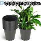 Set of 5 Heavy Duty Plastic Nursery Pots for Plants (1/2/3/5/7/10/15 Gallon)