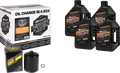 Oil Change Kit for Harley-Davidson Evo (1984–1999) - Black Filter