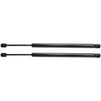 Lift Support Set for Ford Focus (2000–2007) Driver & Passenger Side