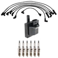 Set of 6 Hitachi Ignition Coils & Denso U-Groove Spark Plugs for Express V6