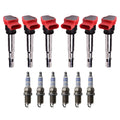 Set of 6 Ignition Coils & Bosch Platinum Spark Plugs for Audi A4 A5 Q5 S5 (2008–2016)